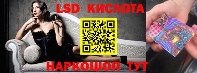 шишки Будённовск