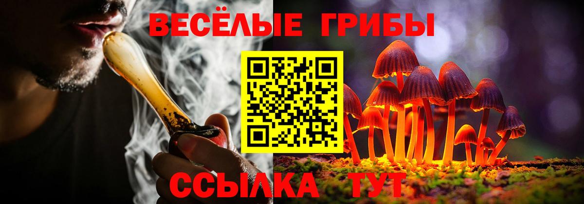 Галлюциногенные грибы ЛСД Новоалександровск